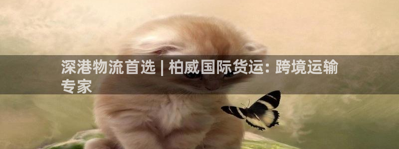 尊龙t600：深港物流首选 | 柏威国际货运: 跨境运输