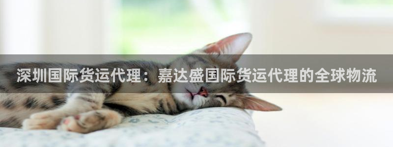 尊龙网址苹果版下载：深圳国际货运代理：嘉达盛国际货运代理