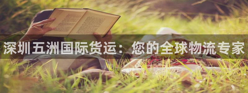 尊龙凯时里面的洗码：深圳五洲国际货运：您的全球物流专家
