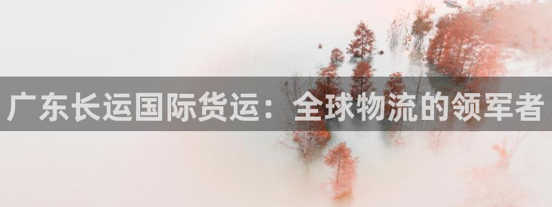 尊龙凯时不给提款：广东长运国际货运：全球物流的领军者