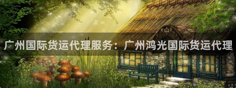 尊龙凯时充十万返现多少：广州国际货运代理服务：广州鸿光国