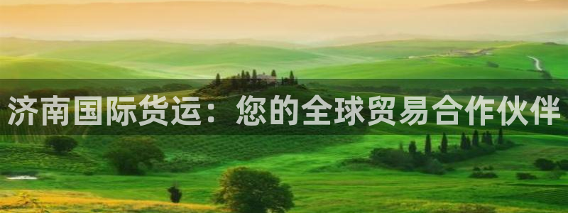 尊龙/人生就是博：济南国际货运：您的全球贸易合作伙伴