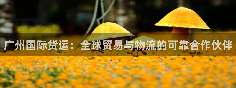 尊龙手机官方客户端下载：广州国际货运：全球贸易与物流的可