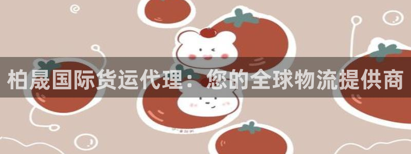 尊龙人生就是博：柏晟国际货运代理：您的全球物流提供商