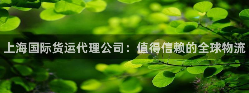 尊龙官网手机版下载：上海国际货运代理公司：值得信赖的全球