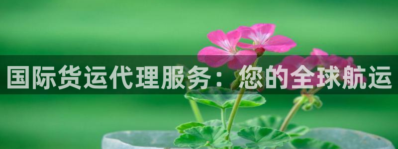 尊龙,人生就是搏：国际货运代理服务：您的全球航运