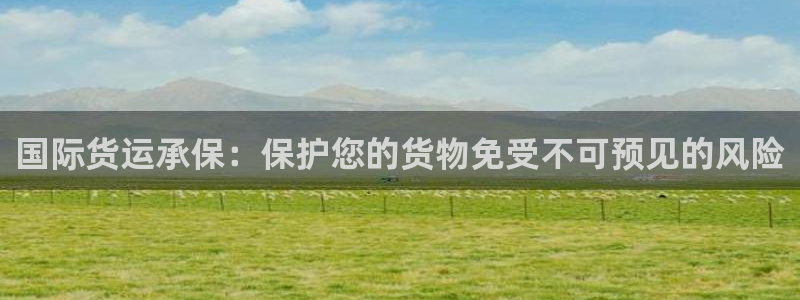 尊龙凯时官方网页：国际货运承保：保护您的货物免受不可预见