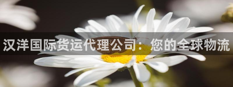 尊龙凯时 人生就是搏!平台：汉洋国际货运代理公司：您的全
