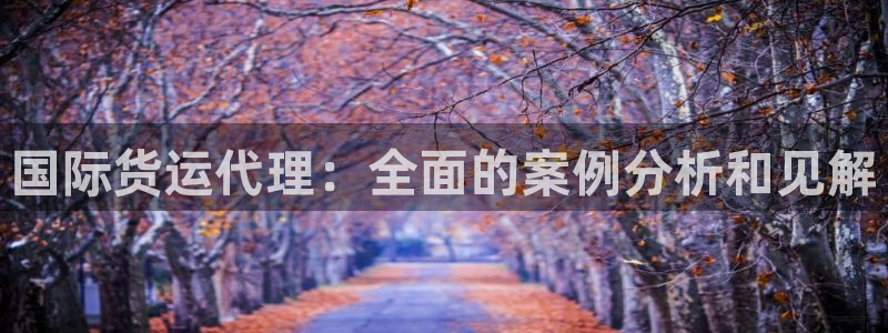 尊龙集团有限公司官网地址：国际货运代理：全面的案例分析和