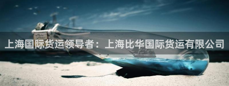 尊龙凯时官方网页：上海国际货运领导者：上海比华国际货运有