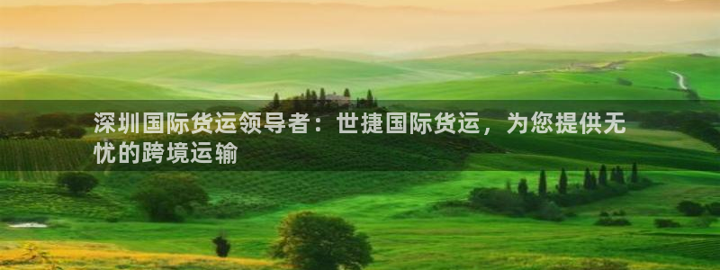 尊龙下载推荐网站：深圳国际货运领导者：世捷国际货运，为您