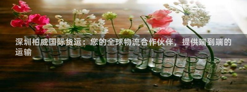 ag尊龙怎么样：深圳柏威国际货运：您的全球物流合作伙伴，