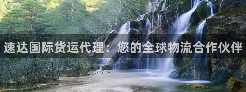 尊龙人生就是博下载：速达国际货运代理：您的全球物流合作伙