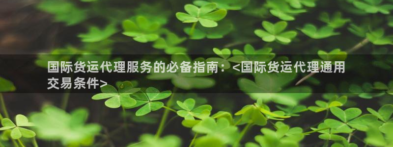 尊龙凯时几百万怎么下：国际货运代理服务的必备指南：<国际