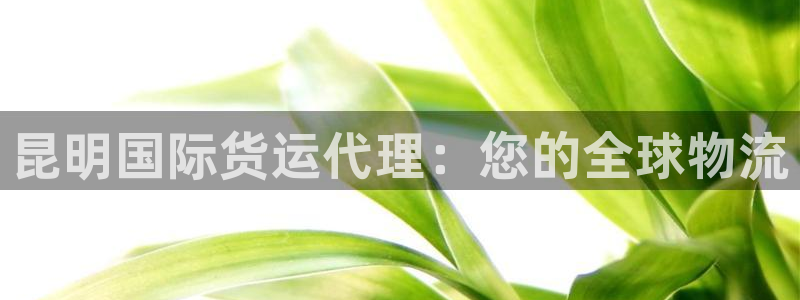 尊龙集团官网：昆明国际货运代理：您的全球物流