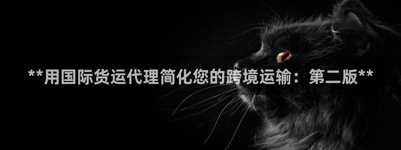 尊龙z6网址：**用国际货运代理简化您的跨境运输：第二版