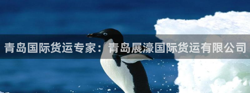 尊龙凯时ag旗舰厅登陆：青岛国际货运专家：青岛展濠国际货
