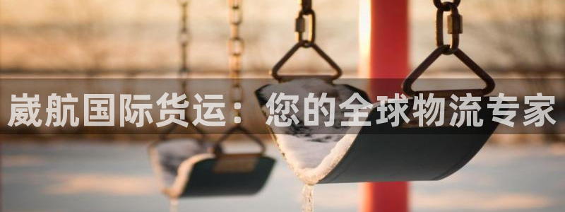 尊龙人生就是博一下阿扎尔：崴航国际货运：您的全球物流专家