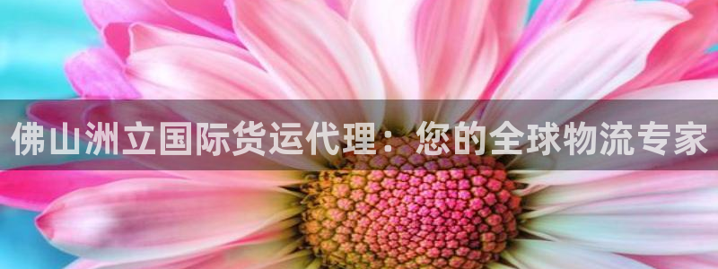 尊龙凯时是直营吗：佛山洲立国际货运代理：您的全球物流专家