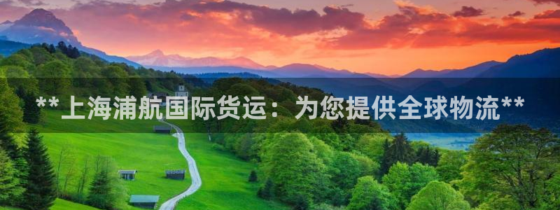 尊龙AG旗舰厅官网：**上海浦航国际货运：为您提供全球物