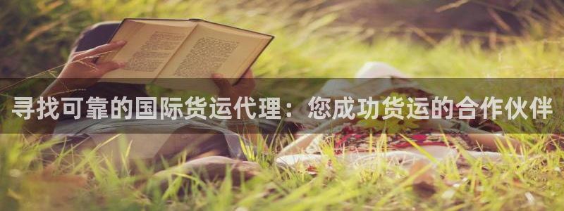 尊龙网站人生就是博：寻找可靠的国际货运代理：您成功货运的