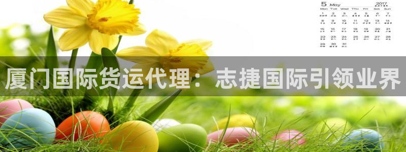 尊龙ag旗舰厅下载：厦门国际货运代理：志捷国际引领业界