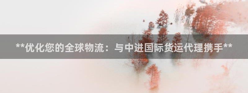 尊龙 贴吧：**优化您的全球物流：与中进国际货运代理携手