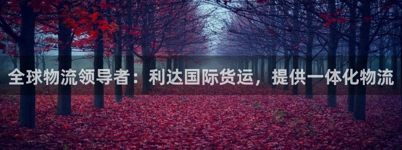 尊龙ag旗舰厅官网登录：全球物流领导者：利达国际货运，提