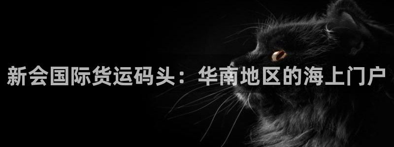 尊龙凯时旗舰厅官网：新会国际货运码头：华南地区的海上门户