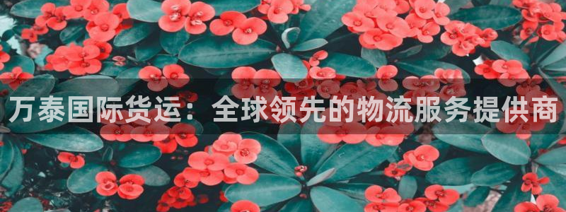 尊龙集团有限公司招聘：万泰国际货运：全球领先的物流服务提