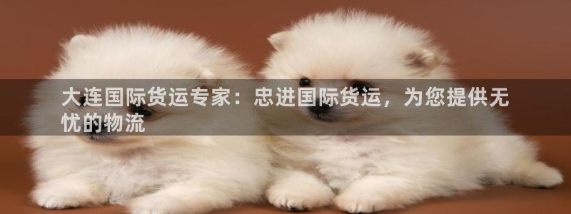 尊龙app|首选agdaohang：大连国际货运专家：忠