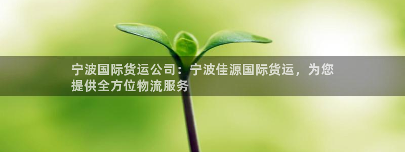 尊龙实业 吴友良：宁波国际货运公司：宁波佳源国际货运，为