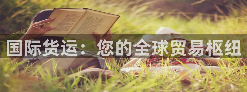 尊龙 国外：国际货运：您的全球贸易枢纽