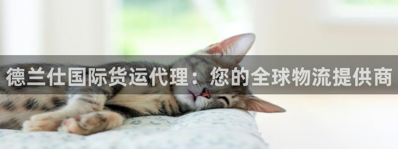 尊龙信息科技有限公司：德兰仕国际货运代理：您的全球物流提