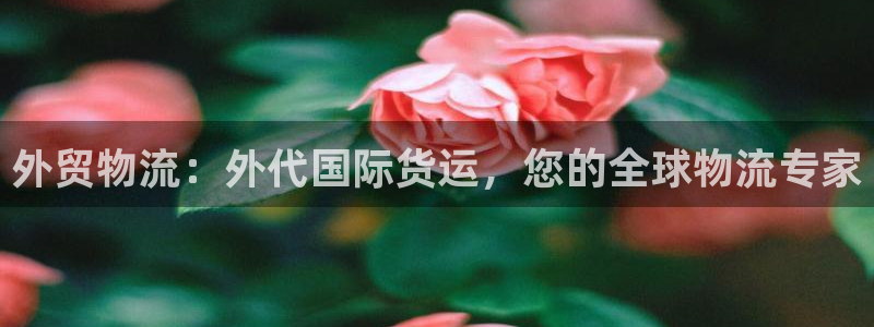 尊龙人生就是博网站下载：外贸物流：外代国际货运，您的全球