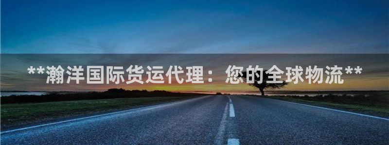 尊龙z6平台：**瀚洋国际货运代理：您的全球物流**