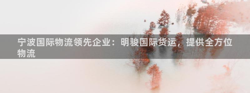 尊龙d88手机app免费下载：宁波国际物流领先企业：明骏