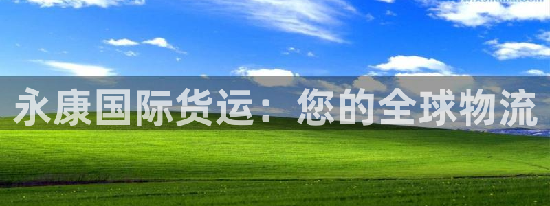 尊龙凯时代理佣金发不发：永康国际货运：您的全球物流