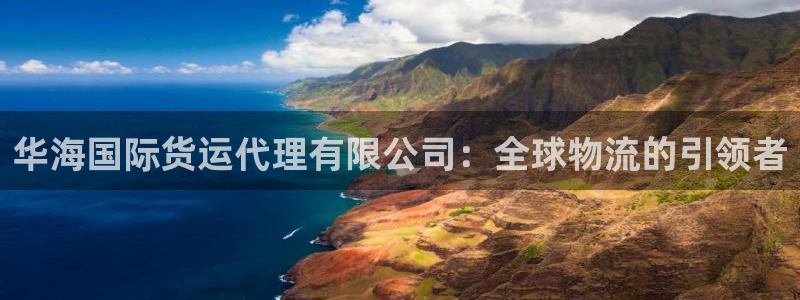 尊龙凯时d5138：华海国际货运代理有限公司：全球物流的