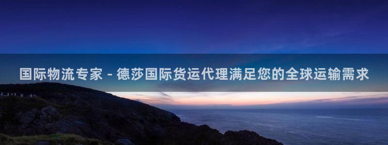 z6com尊龙凯时代理：国际物流专家 - 德莎国际货运代