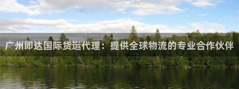 尊龙官网/首选kpm：广州即达国际货运代理：提供全球物流