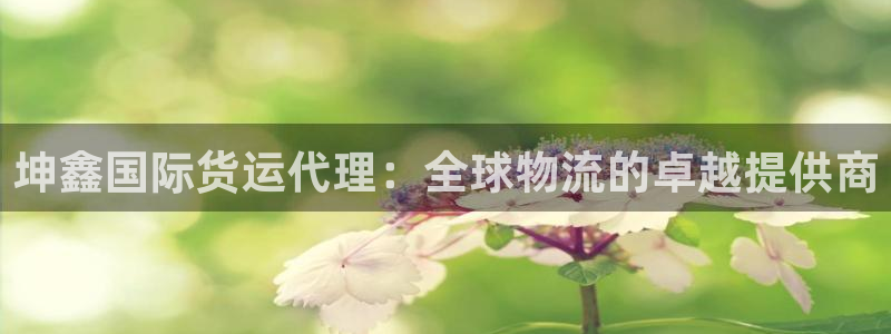 尊龙游戏官方网：坤鑫国际货运代理：全球物流的卓越提供商