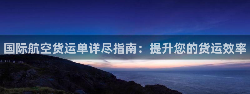 尊龙凯时企业文化：国际航空货运单详尽指南：提升您的货运效