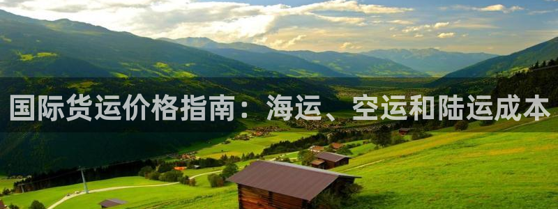 尊龙实业有限公司是正规还是仿：国际货运价格指南：海运、空