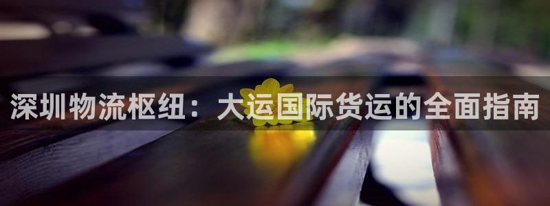 尊龙棋牌软件有挂吗：深圳物流枢纽：大运国际货运的全面指南