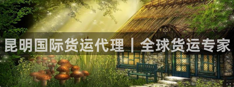 尊龙凯时请求参数不符合：昆明国际货运代理｜全球货运专家
