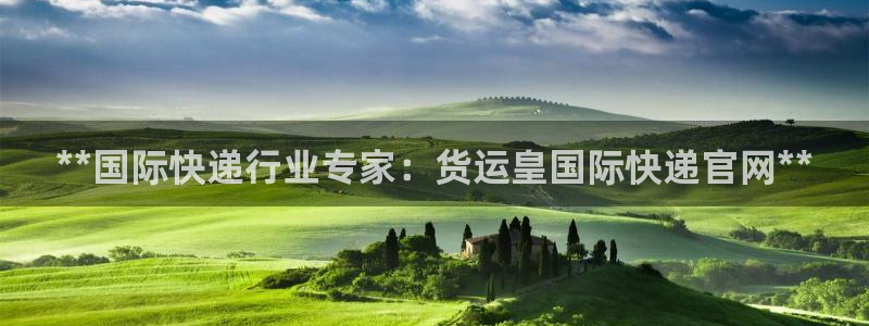 尊龙软件下载：**国际快递行业专家：货运皇国际快递官网*