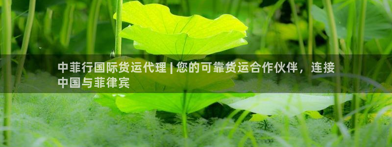 尊龙王t400：中菲行国际货运代理 | 您的可靠货运合作