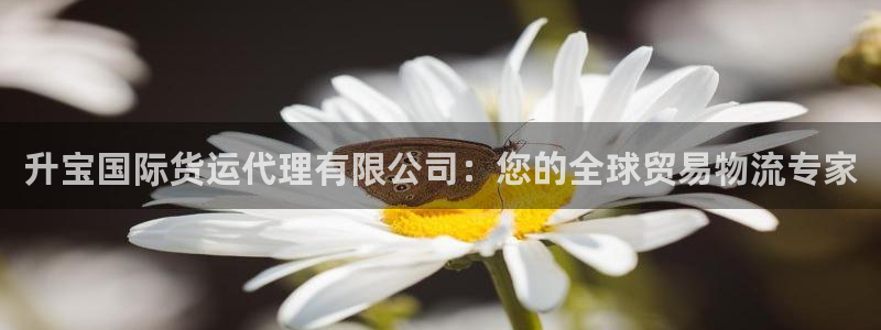 尊龙官方网站首页：升宝国际货运代理有限公司：您的全球贸易