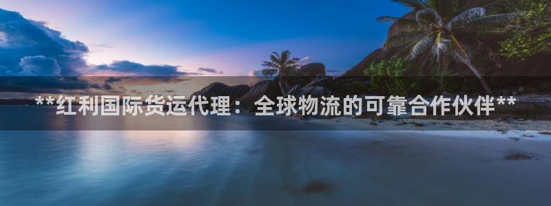 Z6尊龙凯时登录：**红利国际货运代理：全球物流的可靠合